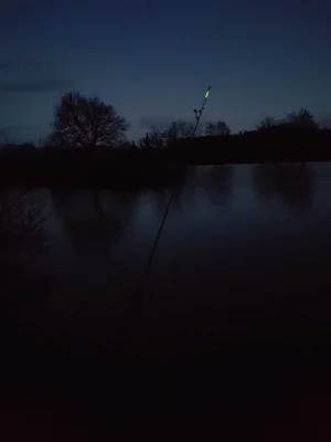 20200413_210821.webp 20200413_210821.webp