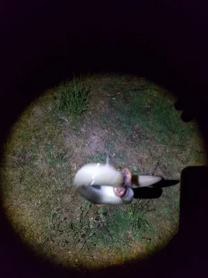 20200413_220730.webp 20200413_220730.webp