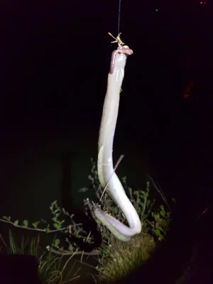 20200413_224428.webp 20200413_224428.webp