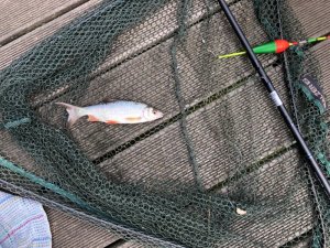 1587372544433.jpeg 1587372544433.jpeg