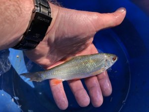 1587372703946.jpeg 1587372703946.jpeg