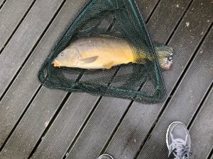 1587373363683.jpeg 1587373363683.jpeg