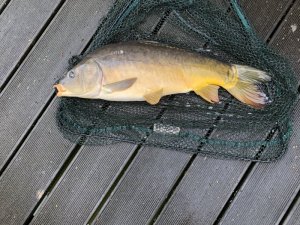 1587373442490.jpeg 1587373442490.jpeg