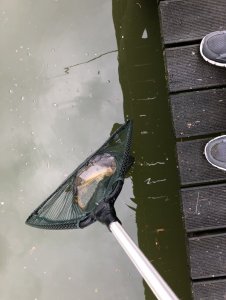 1587373607217.jpeg 1587373607217.jpeg