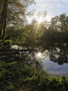 Neckar2.jpg