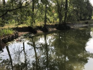 1587542647677.jpeg 1587542647677.jpeg