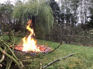 1587547788161.jpeg 1587547788161.jpeg