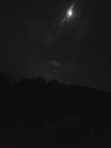 20200501_234349.jpg 20200501_234349.jpg