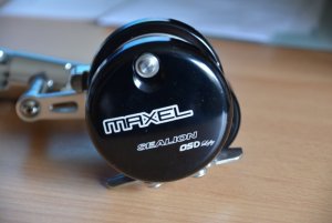 MaxelApril 077.JPG