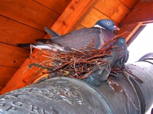 Mod Treffen Steinhude 2018 051.JPG