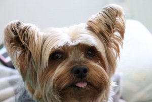 IMG_0006.JPG IMG_0006.JPG