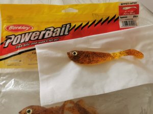 IMG_20200508_155725.jpg IMG_20200508_155725.jpg