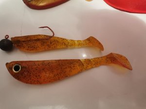 IMG_20200508_175447.jpg IMG_20200508_175447.jpg