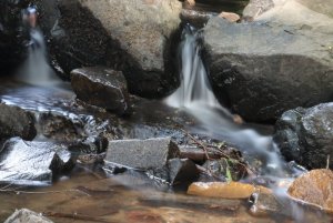 IMG_0502.JPG IMG_0502.JPG