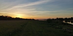 IMG_20200520_205755.jpg