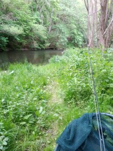 IMG_20200530_153512.jpg IMG_20200530_153512.jpg