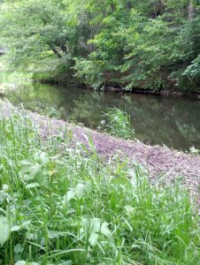 IMG_20200530_153521.jpg IMG_20200530_153521.jpg