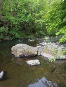 20200530_092632.jpg 20200530_092632.jpg