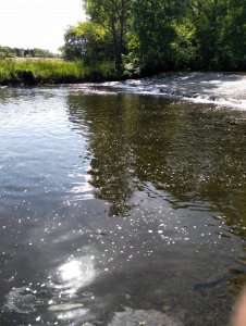 IMG_20200531_161825.jpg IMG_20200531_161825.jpg