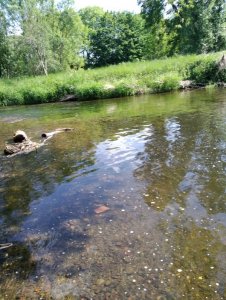 IMG_20200531_161836.jpg IMG_20200531_161836.jpg