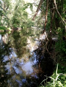 IMG_20200531_174527.jpg IMG_20200531_174527.jpg