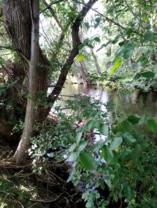 IMG_20200531_174545.jpg IMG_20200531_174545.jpg