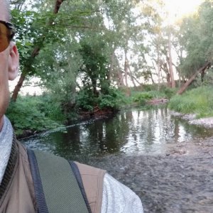 IMG_20200531_203830.jpg IMG_20200531_203830.jpg