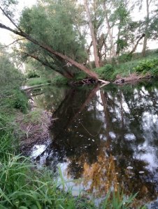 IMG_20200531_204523.jpg IMG_20200531_204523.jpg