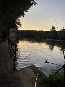 IMG_3637.JPG