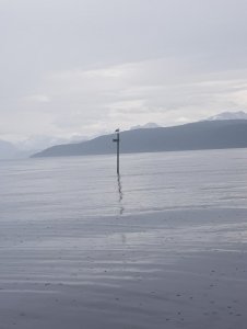 20190605_120330 (1).jpg 20190605_120330 (1).jpg