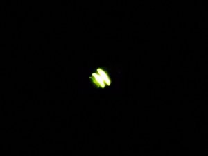 20200608_000153.jpg 20200608_000153.jpg