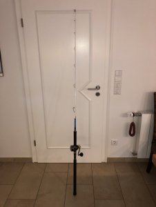 1591684763401.jpeg 1591684763401.jpeg