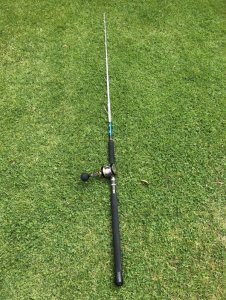 1591686263353.jpeg 1591686263353.jpeg