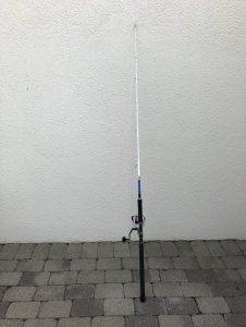 1591704294631.jpeg 1591704294631.jpeg