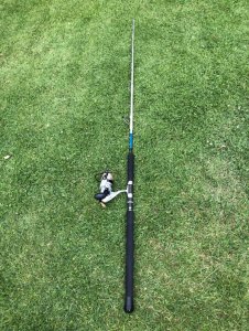 1591704345570.jpeg 1591704345570.jpeg