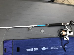 1591786580601.jpeg 1591786580601.jpeg