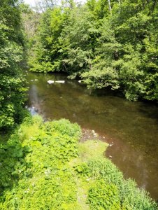 IMG_20200611_120725.jpg IMG_20200611_120725.jpg