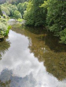 IMG_20200611_120751.jpg IMG_20200611_120751.jpg