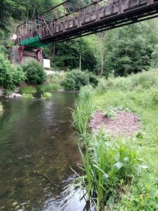 IMG_20200611_132310.jpg IMG_20200611_132310.jpg