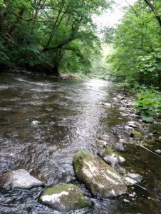 IMG_20200611_164917.jpg IMG_20200611_164917.jpg