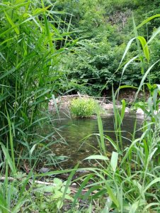 IMG_20200611_144755.jpg IMG_20200611_144755.jpg