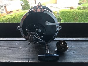 IMG_8571.jpg IMG_8571.jpg