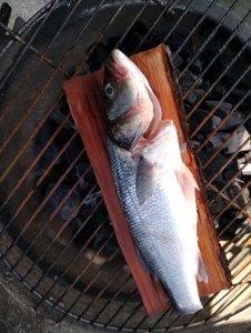 IMG_20200620_184646.jpg IMG_20200620_184646.jpg