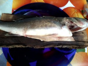 IMG_20200620_195341.jpg IMG_20200620_195341.jpg