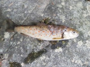 20200530_092516.jpg 20200530_092516.jpg