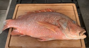 E94D0C19-7BA5-44A6-AC26-0875459F731D.jpeg E94D0C19-7BA5-44A6-AC26-0875459F731D.jpeg