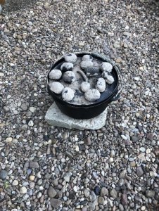 FDAD7833-3B2A-40D3-9AAF-4765AD2F1C1B.jpeg FDAD7833-3B2A-40D3-9AAF-4765AD2F1C1B.jpeg