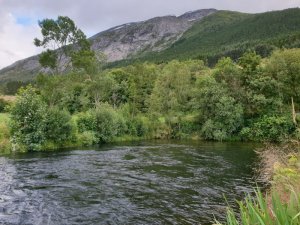 20200707_200844.jpg 20200707_200844.jpg