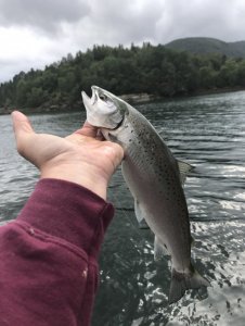 4CDB9BD8-0466-4EC2-ACC3-E9E7973A004B.jpeg 4CDB9BD8-0466-4EC2-ACC3-E9E7973A004B.jpeg