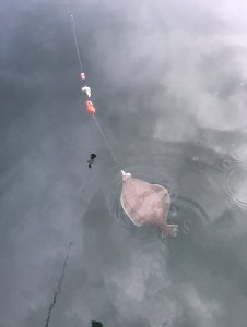 0CD5D7C5-342F-4D52-A944-186D7551DEAF.jpeg 0CD5D7C5-342F-4D52-A944-186D7551DEAF.jpeg